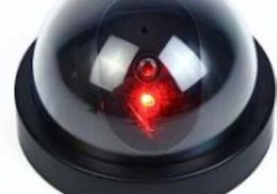 dummy-came-520-x-503-700-x-677