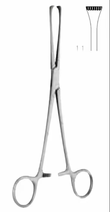allis tissue forcep teeth sellers in Nigeria by Scantrik