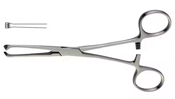 allis tissue forcep teeth sales in Nigeria by Scantrik