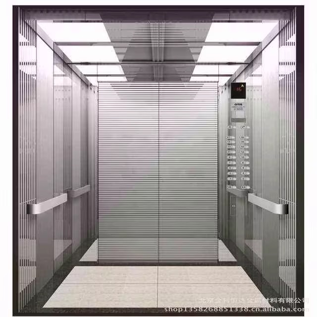 Premium 320kg 3-Stop Stainless Steel Home Elevator by hiphen