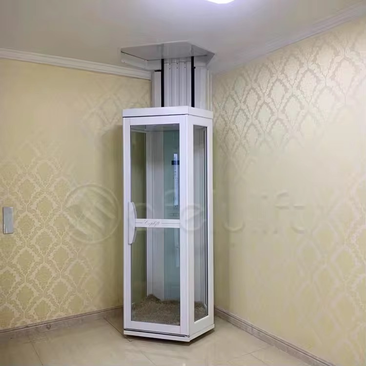 Dual-Entry Home Lift for Seniors by hiphen