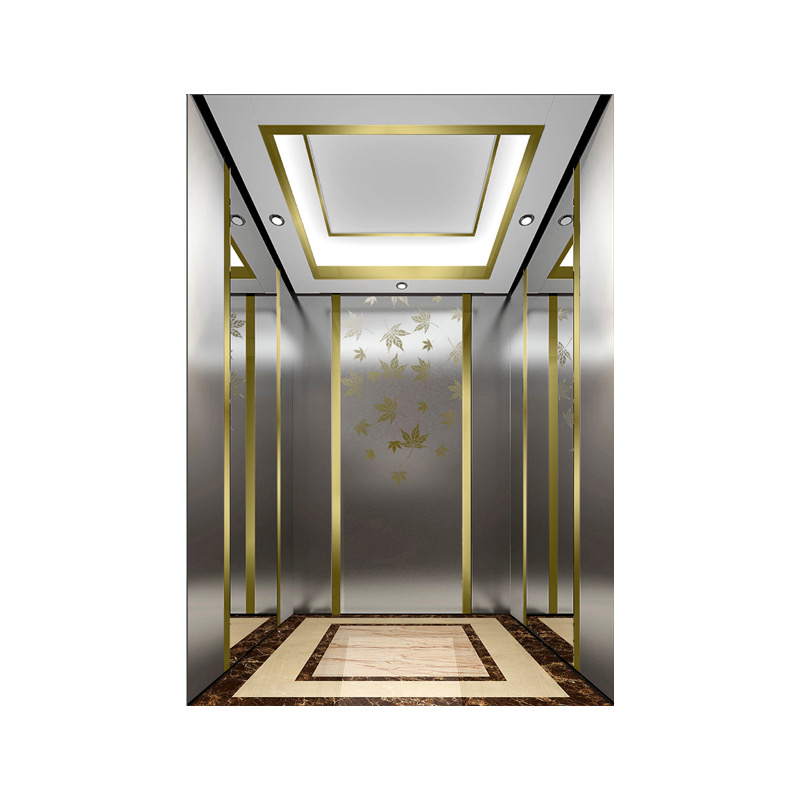 Vibration-Free 2 Floor 3 Passenger Elevator by hiphen