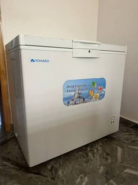 Solar and AC Flexibility Yohako AC/DC Solar Chest Freezer